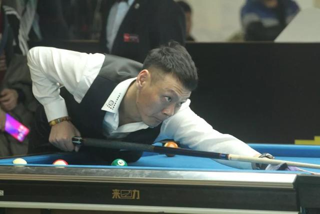 野生动物的 野生动物的