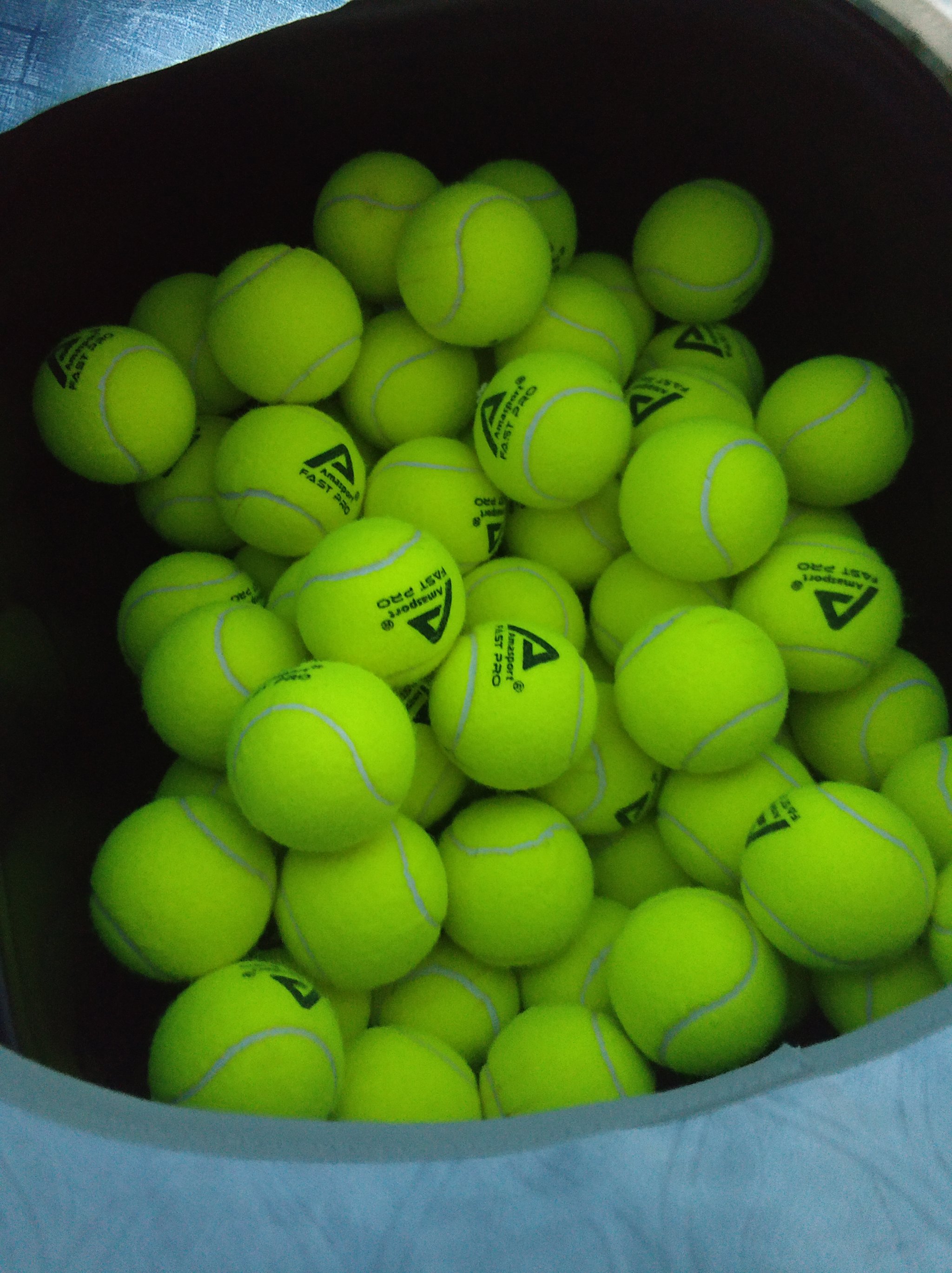 言是不小的 言是不小的