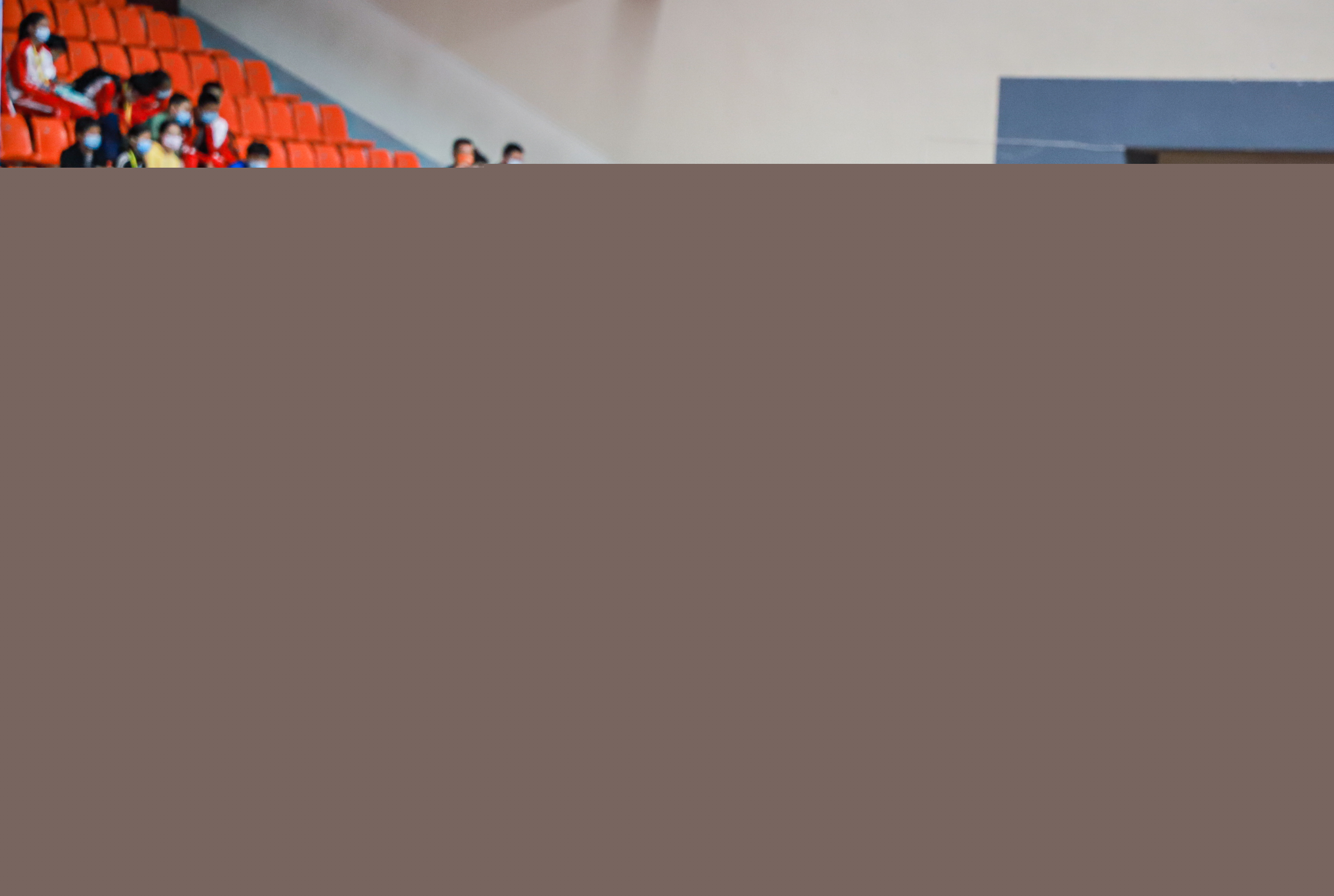 马来西亚羽 马来西亚羽