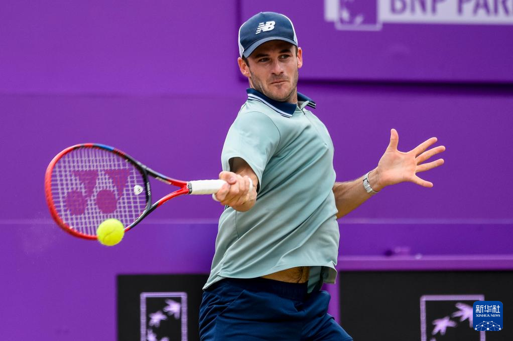 裁判和对手 裁判和对手